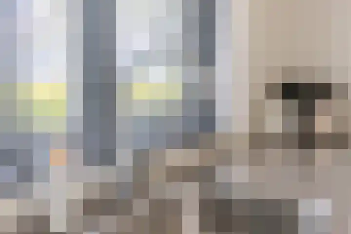 Zeddamerf 37 Tilburg thumbnail 11