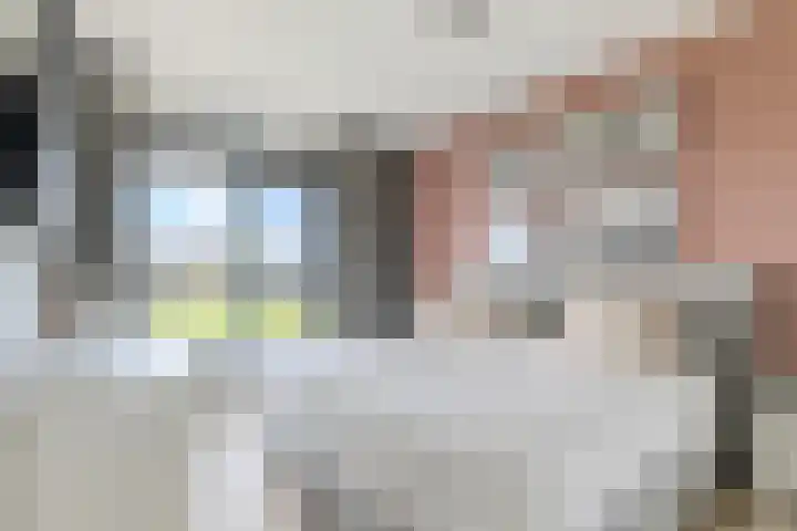 Zeddamerf 37 Tilburg thumbnail 18