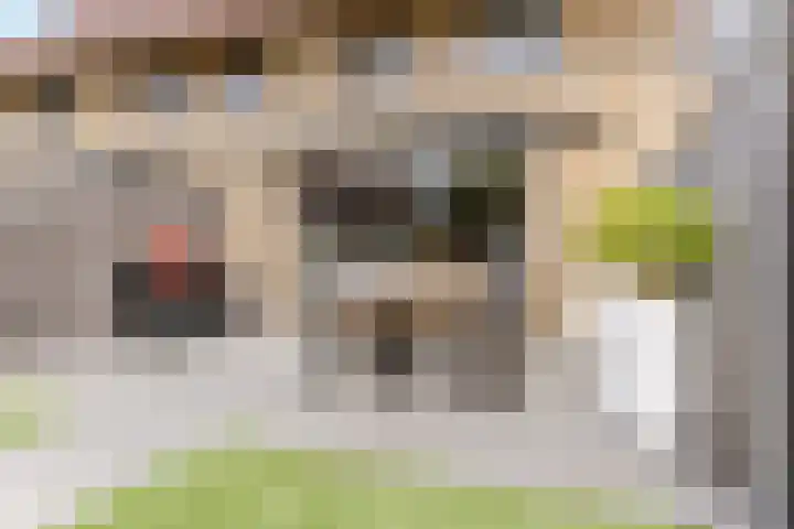 Zeddamerf 37 Tilburg thumbnail 32