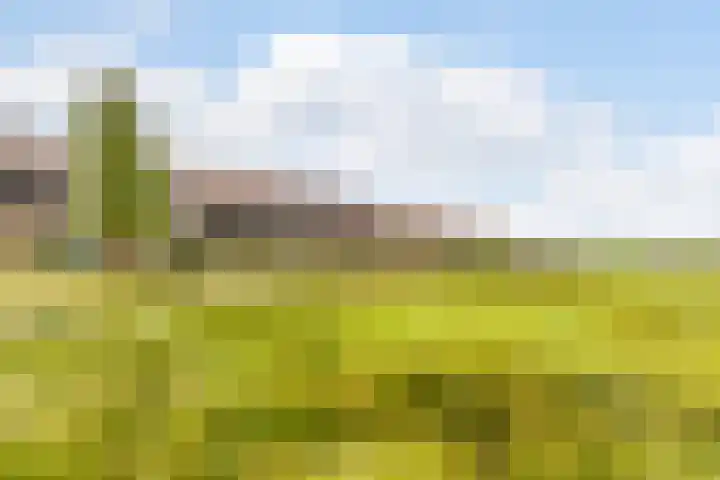 Zeddamerf 37 Tilburg thumbnail 34