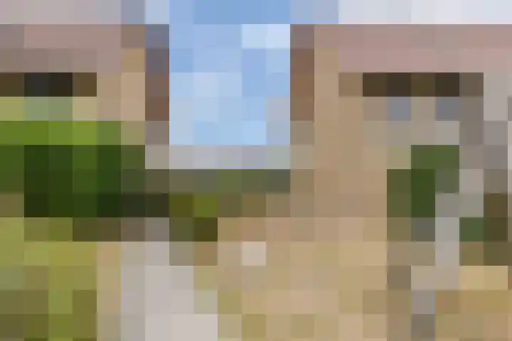 Zeddamerf 37 Tilburg thumbnail 37