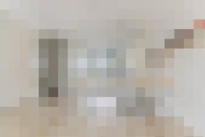 Zeddamerf 37 Tilburg thumbnail 9