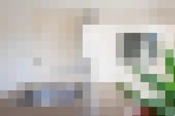 Zeddamseweg 42 Etten thumbnail 15