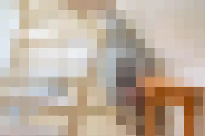 Zeddamseweg 42 Etten thumbnail 34