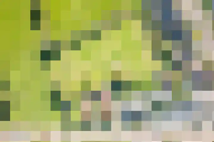 Zeddamseweg 42 Etten thumbnail 37