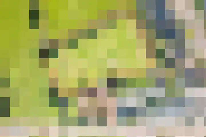 Zeddamseweg 42 Etten thumbnail 4