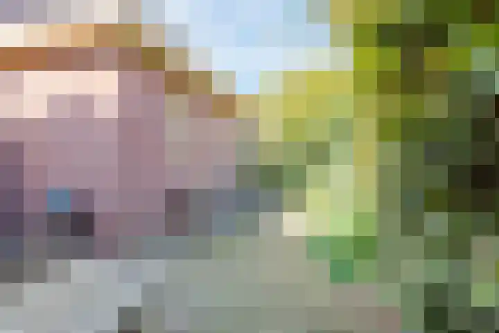 Zeddamseweg 42 Etten thumbnail 45