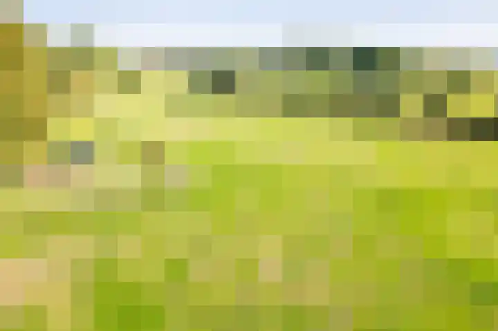 Zeddamseweg 42 Etten thumbnail 47