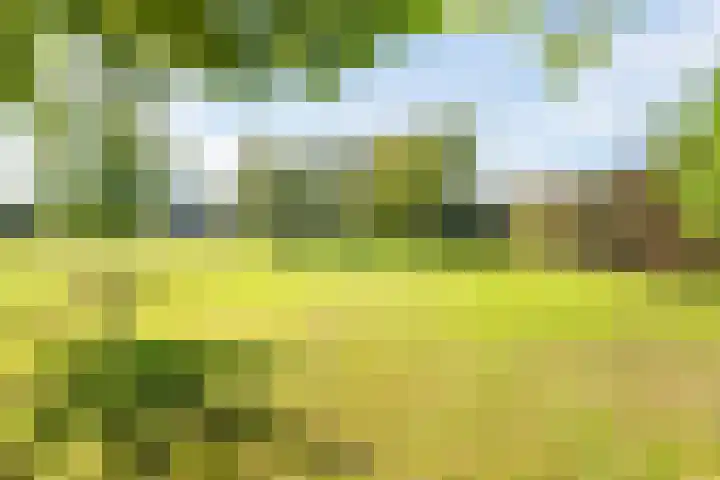 Zeddamseweg 42 Etten thumbnail 48