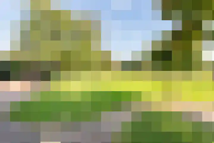 Zeddamseweg 42 Etten thumbnail 49