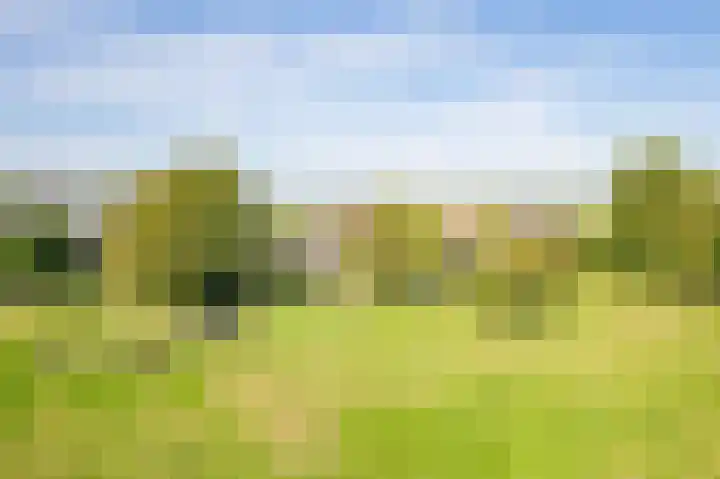 Zeddamseweg 42 Etten thumbnail 50