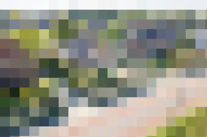 Zeddamseweg 42 Etten thumbnail 51