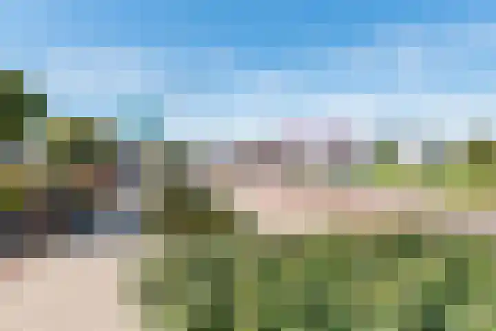 Zeddamseweg 42 Etten thumbnail 52