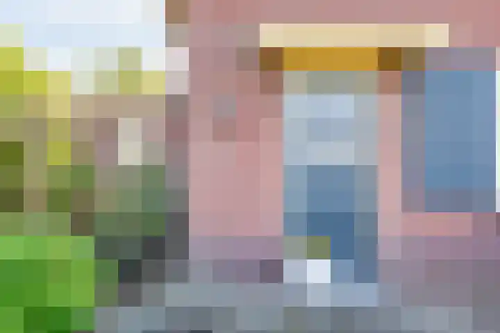 Zeddamseweg 42 Etten thumbnail 6