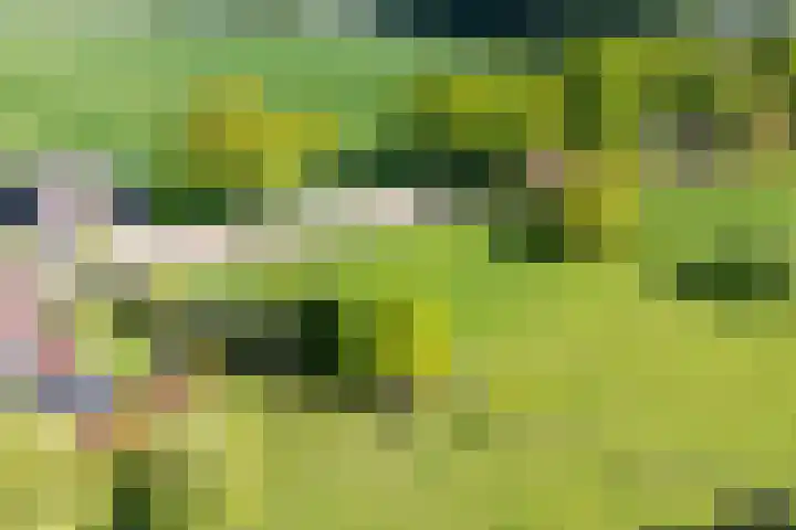 Zeddamseweg 44 Etten thumbnail 10