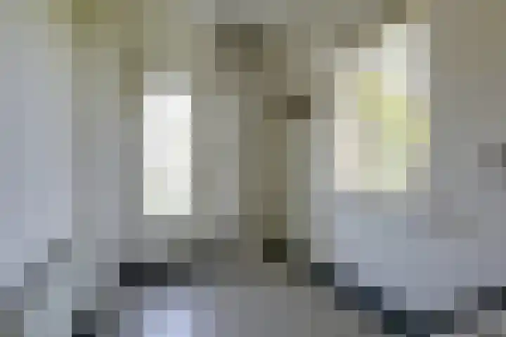 Zeddamseweg 44 Etten thumbnail 12