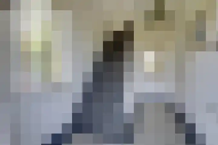 Zeddamseweg 44 Etten thumbnail 13