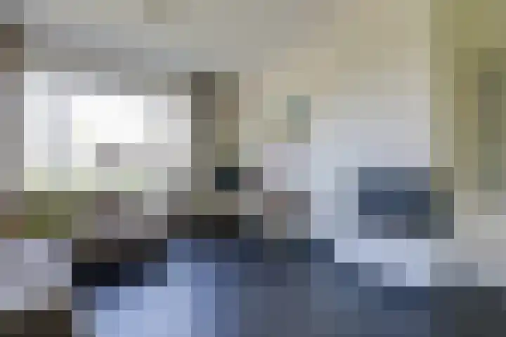 Zeddamseweg 44 Etten thumbnail 15