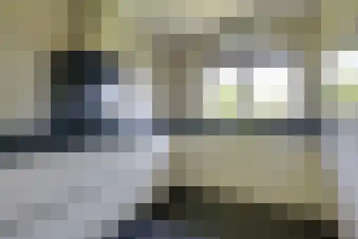 Zeddamseweg 44 Etten thumbnail 22