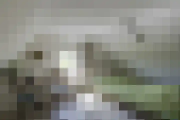 Zeddamseweg 44 Etten thumbnail 26