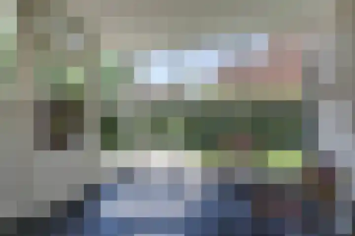 Zeddamseweg 44 Etten thumbnail 27