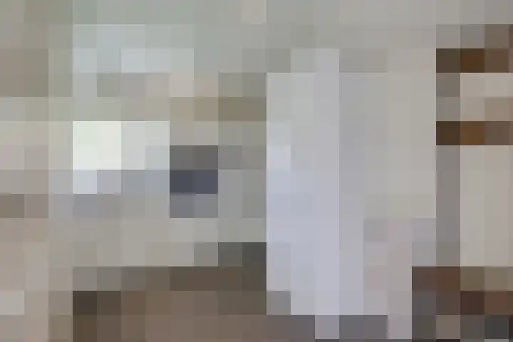 Zeddamseweg 44 Etten thumbnail 28