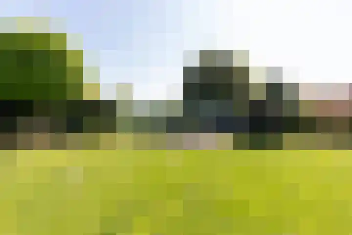 Zeddamseweg 44 Etten thumbnail 33