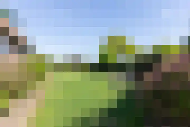 Zeddamseweg 44 Etten thumbnail 35