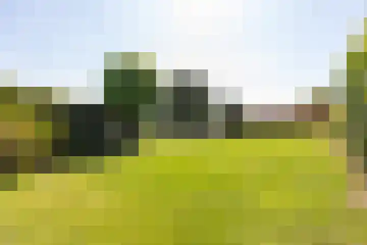 Zeddamseweg 44 Etten thumbnail 36