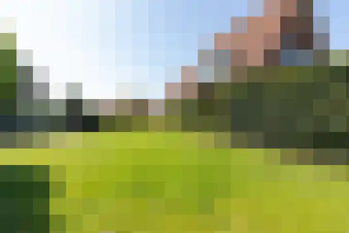 Zeddamseweg 44 Etten thumbnail 37