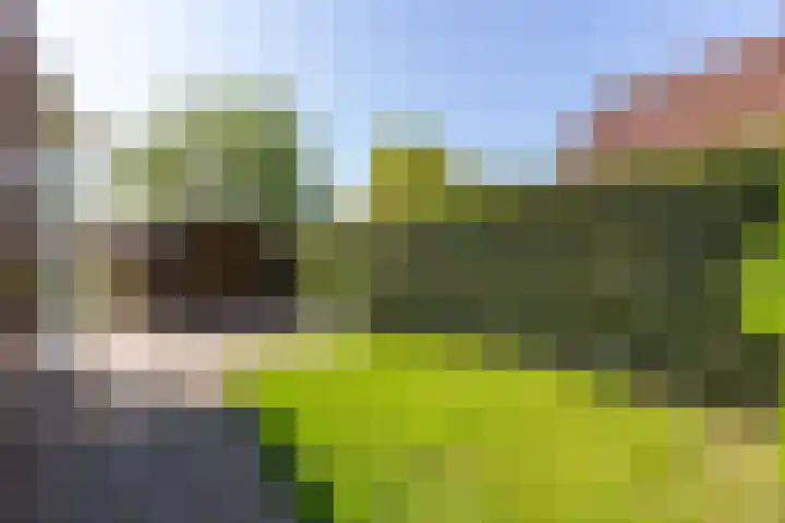 Zeddamseweg 44 Etten thumbnail 39