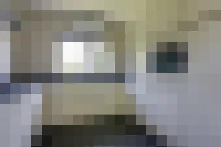 Zeddamseweg 44 Etten thumbnail 4