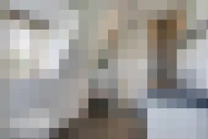 Zeddamseweg 44 Etten thumbnail 41