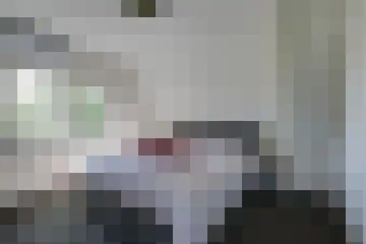 Zeddamseweg 44 Etten thumbnail 46