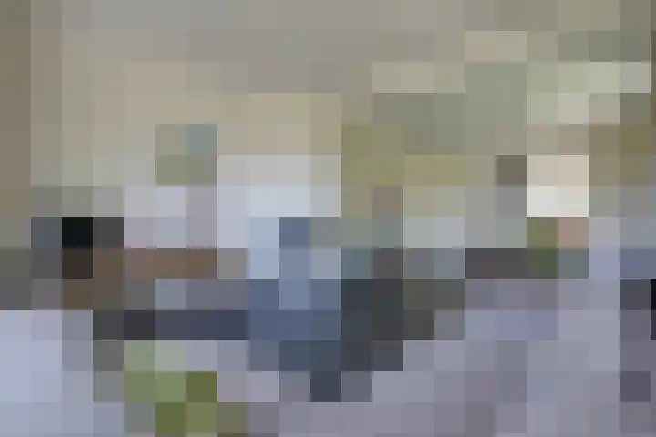 Zeddamseweg 44 Etten thumbnail 5