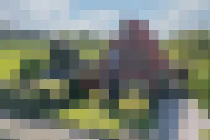 Zeddamseweg 44 Etten thumbnail 6