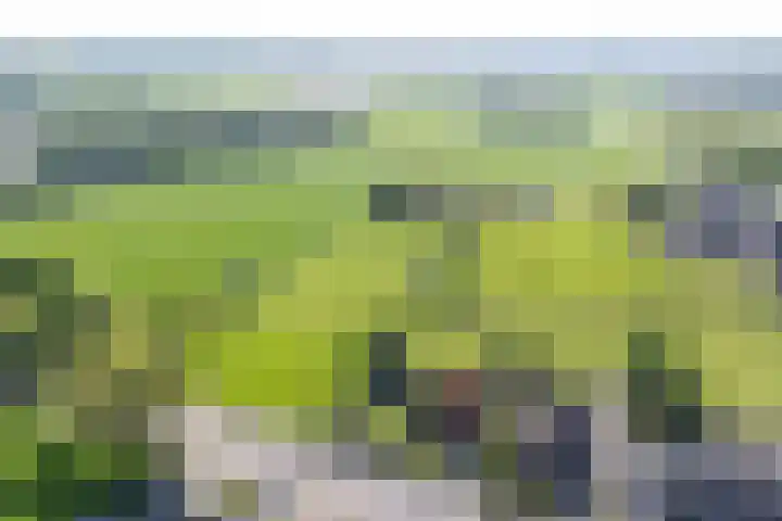 Zeddamseweg 44 Etten thumbnail 9