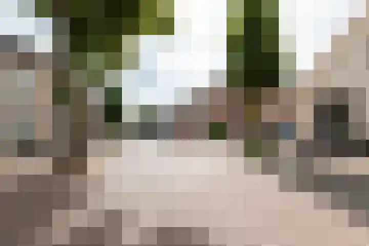 Zeddamseweg 45 's-Heerenberg thumbnail 69