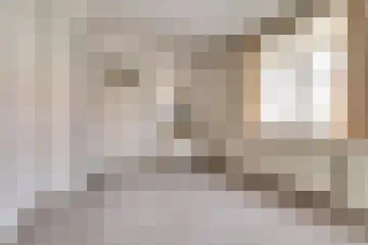 Zederikstraat 1 Vianen thumbnail 21