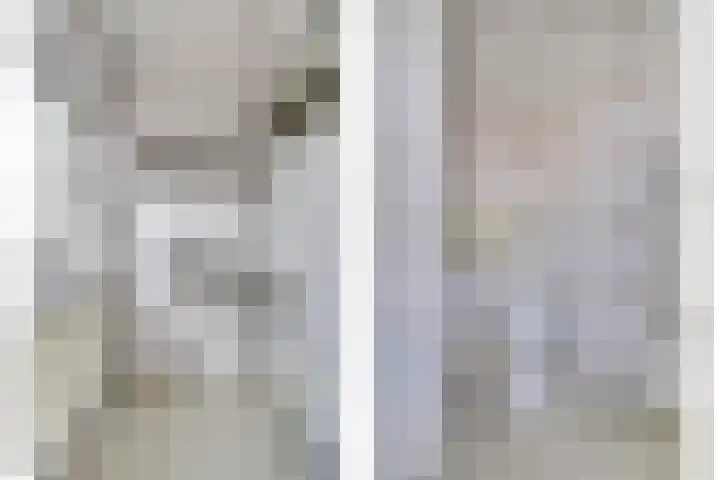 Zederikstraat 1 Vianen thumbnail 27