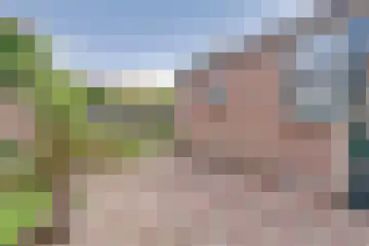 Zederikstraat 1 Vianen thumbnail 33
