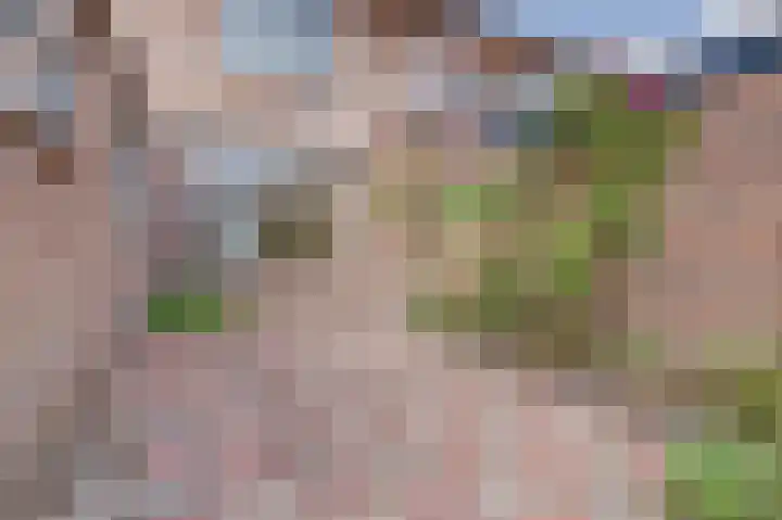 Zederikstraat 1 Vianen thumbnail 35