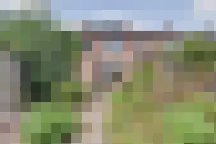Zederikstraat 1 Vianen thumbnail 37