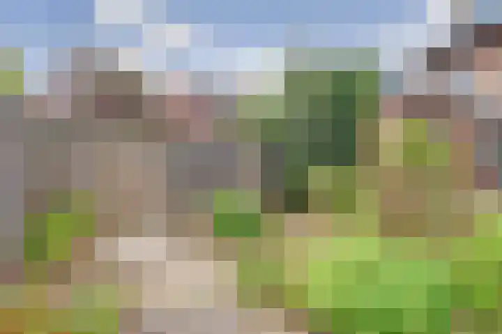 Zederikstraat 1 Vianen thumbnail 38