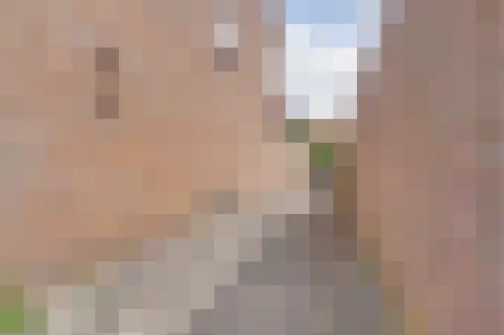 Zederikstraat 1 Vianen thumbnail 39