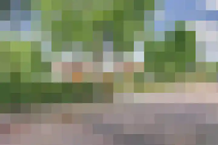 Zederikstraat 1 Vianen thumbnail 41