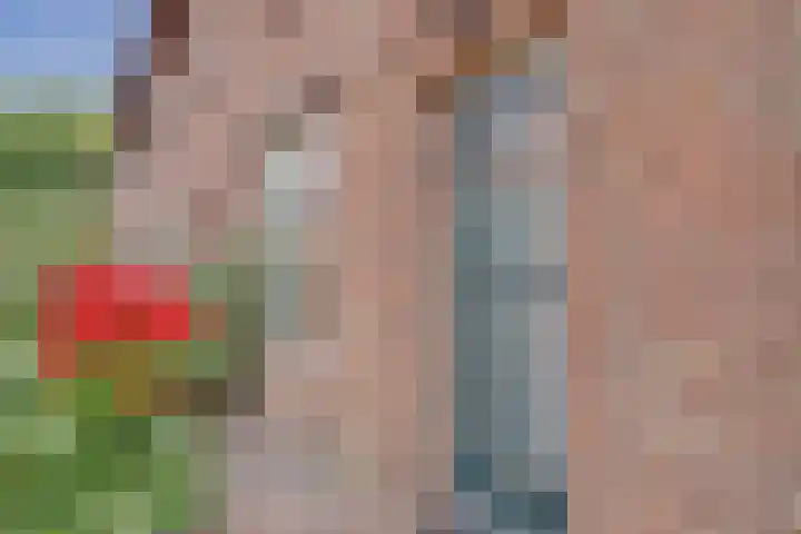 Zederikstraat 1 Vianen thumbnail 5