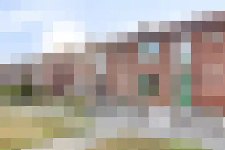Zeeanemoonweg 39 Renesse thumbnail 25
