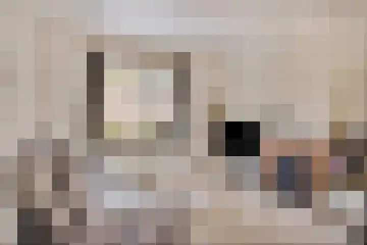 Zeeanemoonweg 39 Renesse thumbnail 6