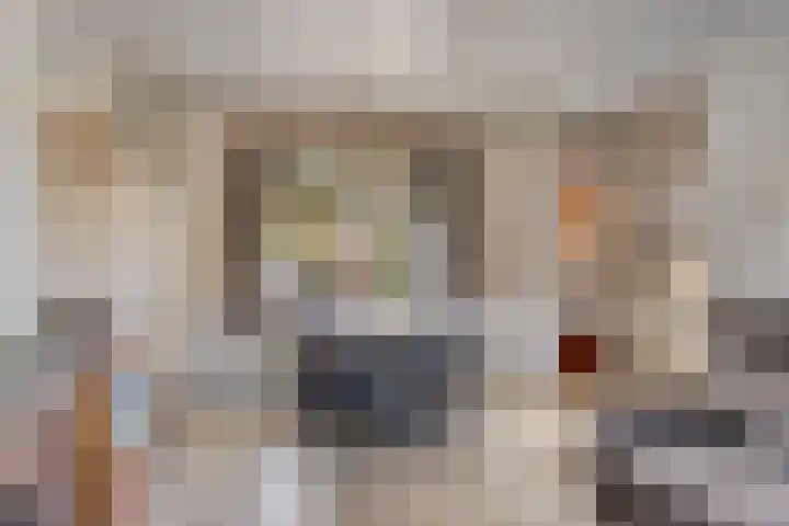 Zeeanemoonweg 39 Renesse thumbnail 8